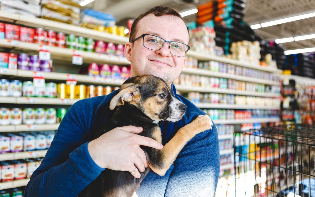 Dierenwinkel aan het werk